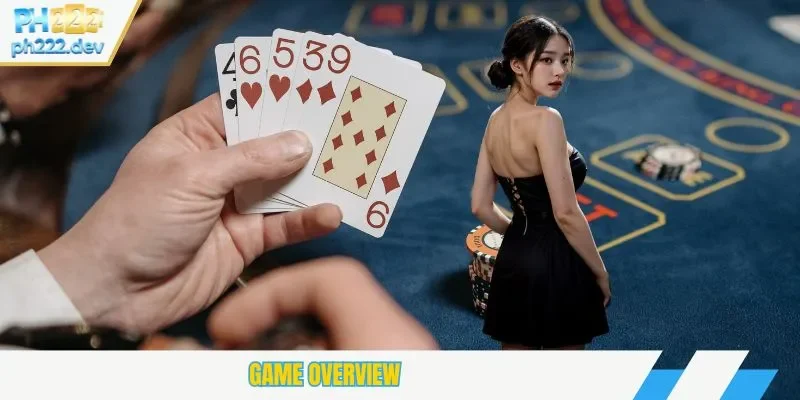 Game overview